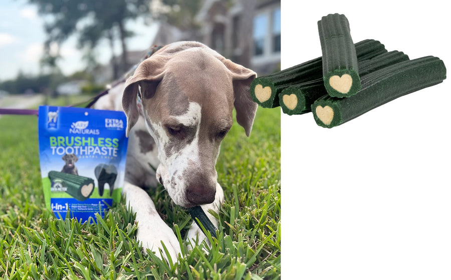 Ark Naturals Brushless Toothpaste Dental Chews for Extra Large Dogs