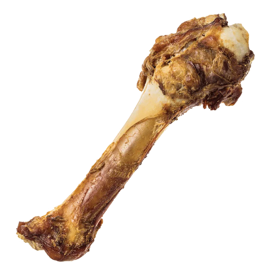 Redbarn Shank Bone Dog Treat