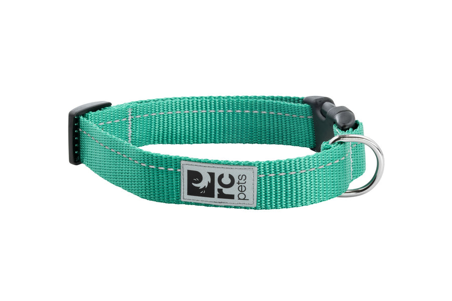 RC Pets Primary Dog Collar, Parakeet