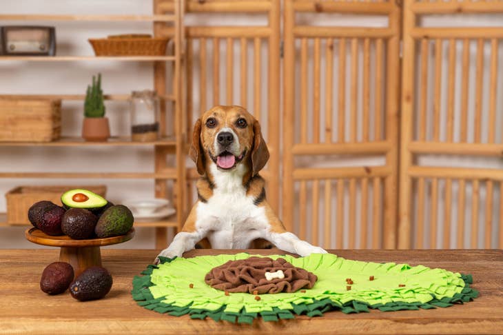 Injoya Avacado Treat Dispensing Snuffle Mat