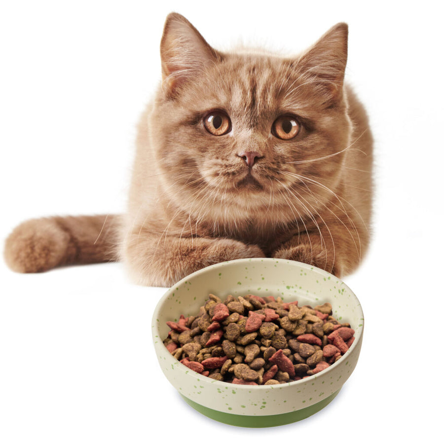 Spot Sedona Spruce Green 5-Inch Cat Dish