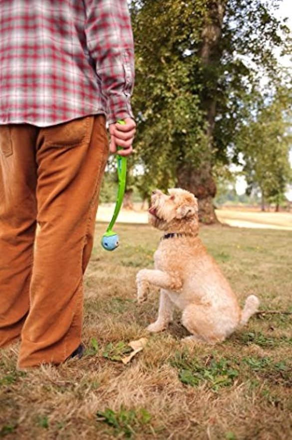 Chuckit! Fetch Medley Medium 3 Pack Ball Dog Toy