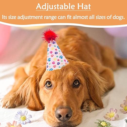 Pet Birthday Hat X-Large