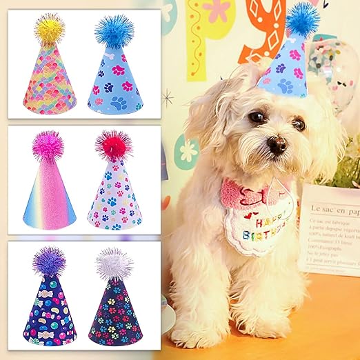 Pet Birthday Hat X-Large