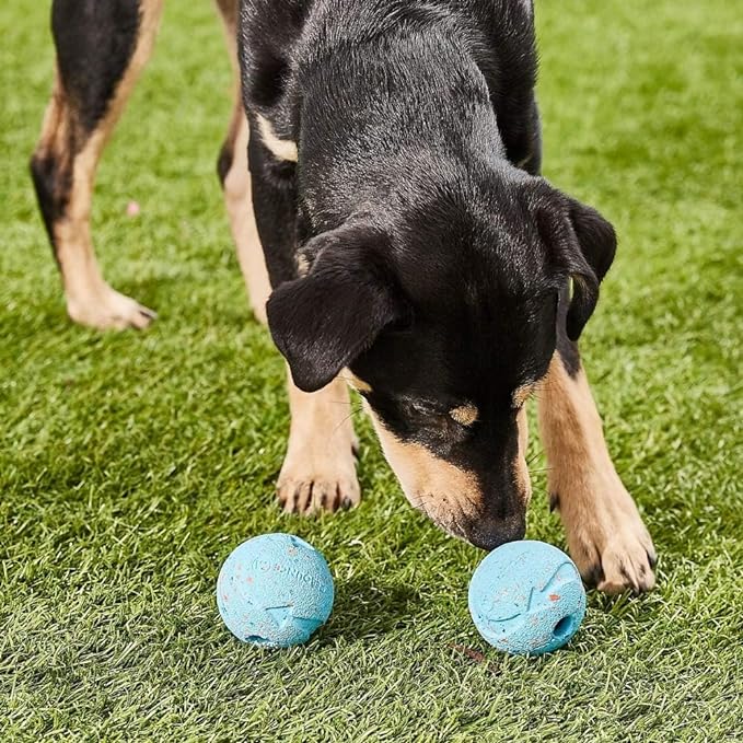 Chuckit! Fetch Medley Medium 3 Pack Ball Dog Toy