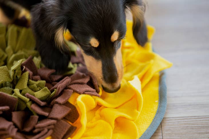 Injoya Sunflower Treat Dispensing Snuffle Mat