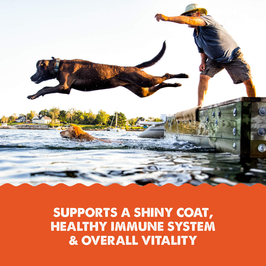 Grizzly Wild Alaskan Salmon Oil Plus Dog Food Supplement