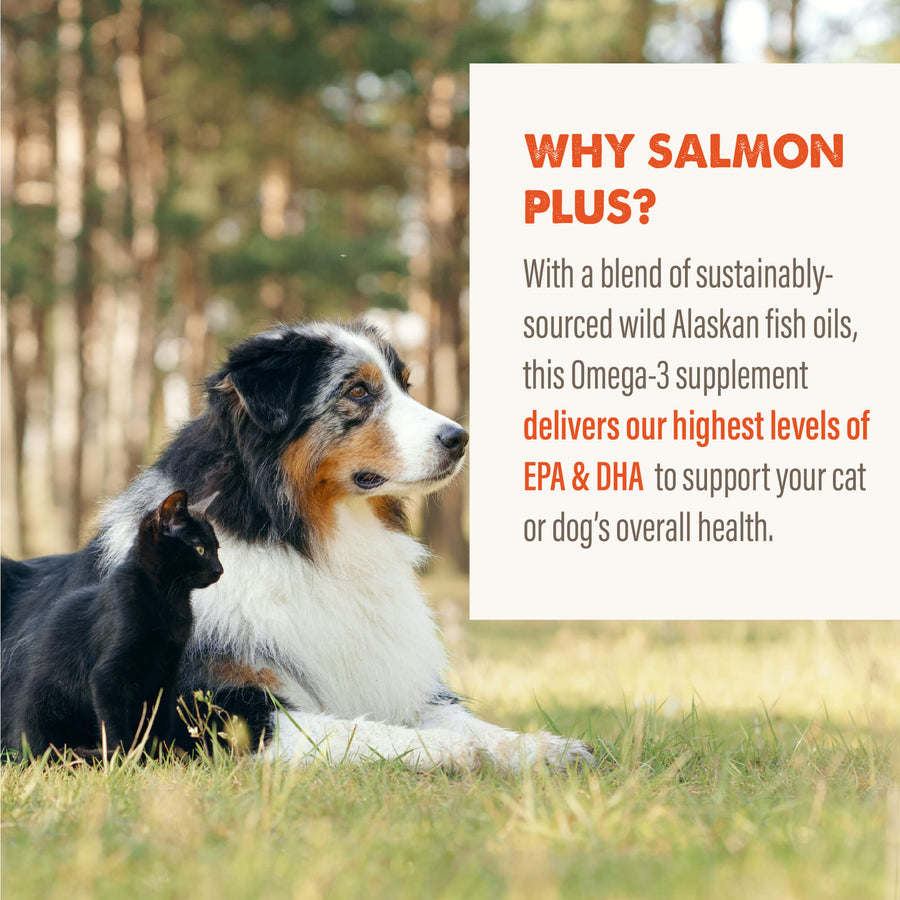 Grizzly Wild Alaskan Salmon Oil Plus Dog Food Supplement