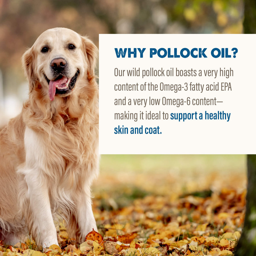 Grizzly Pollock Oil for Dogs