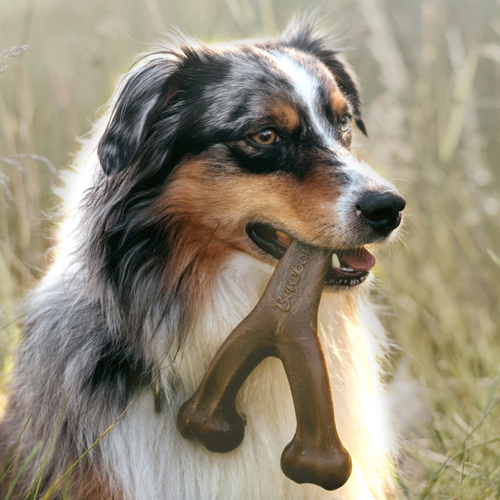 Benebone Wishbone Durable Peanut Butter Flavor Dog Chew