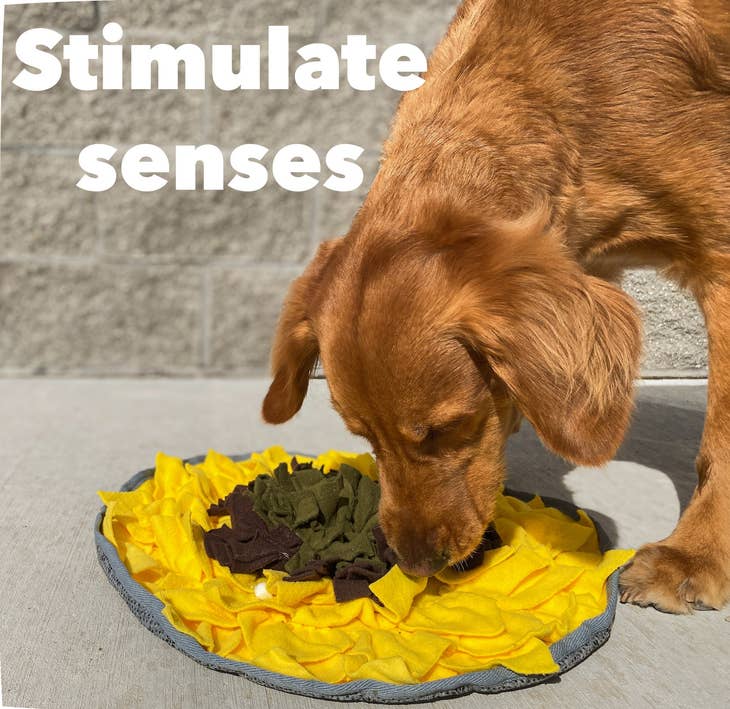 Injoya Sunflower Treat Dispensing Snuffle Mat