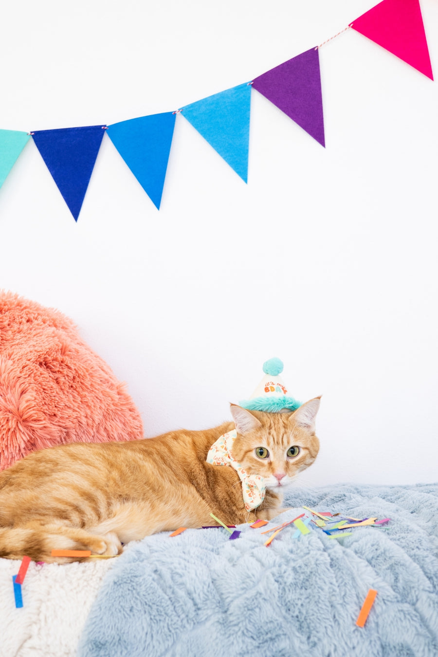 Pearhead Happy Purrday Hat and Bowtie Set for Cats