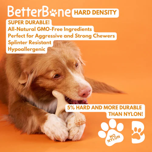 Betterbone Hard Hardness Natural Hypoallergenic Beef Flavor Dog Chew