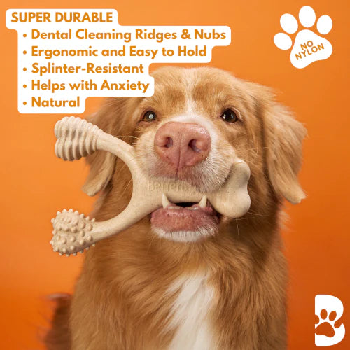 Betterbone Hard Hardness Natural Hypoallergenic Beef Flavor Dog Chew