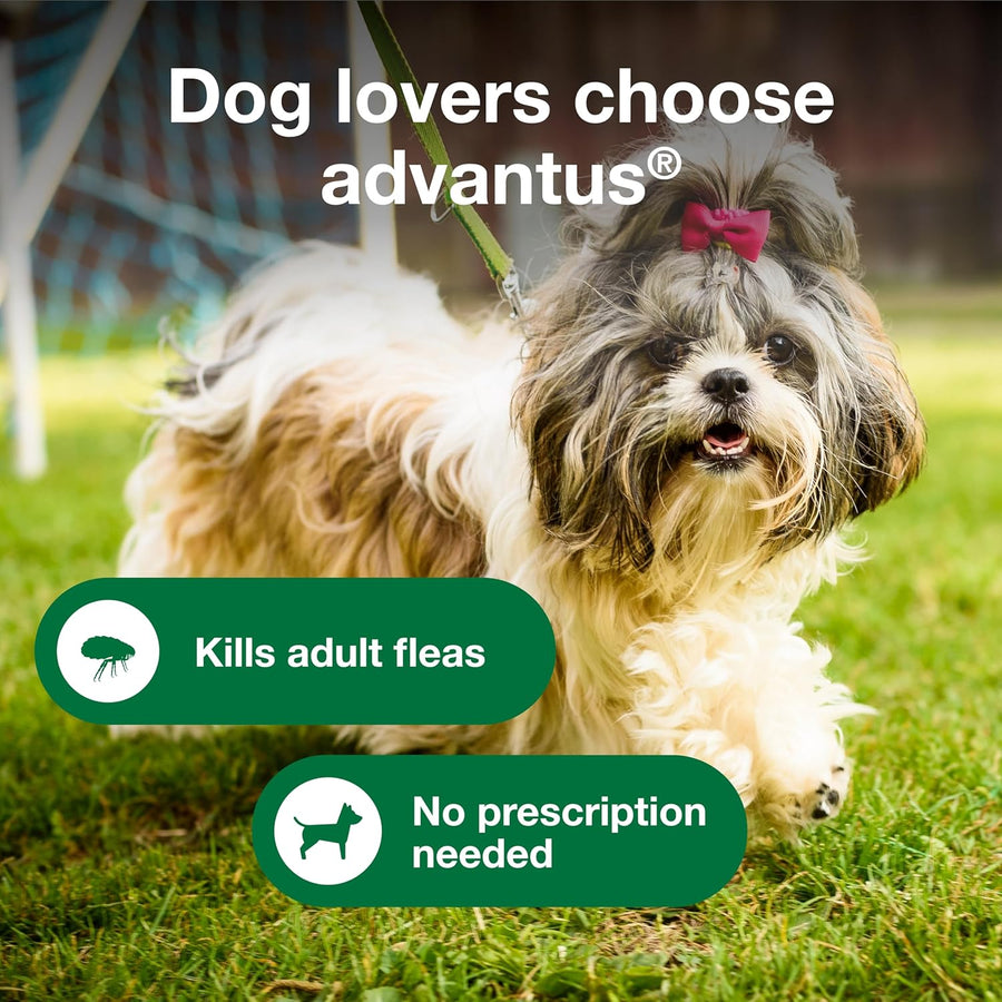 Advantus Chewable Flea Treatment for Small Dogs, 4lb-22lbs