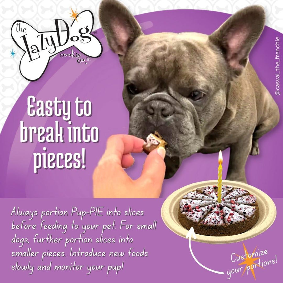 Lazy Dog Cookie Company Happy Birthday For A Special Dog Pup-Pie Dog Treat