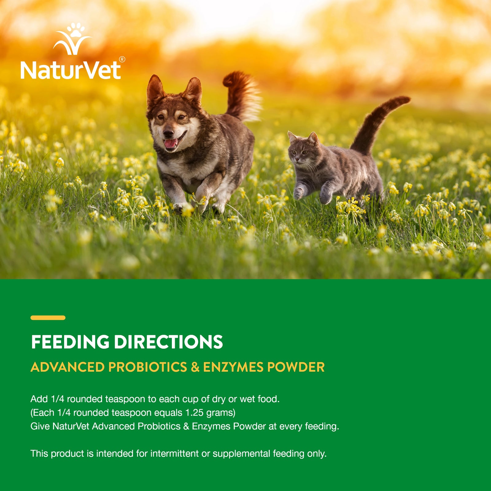 NaturVet Advanced Probiotic & Enzymes Powder for Dogs and Cats