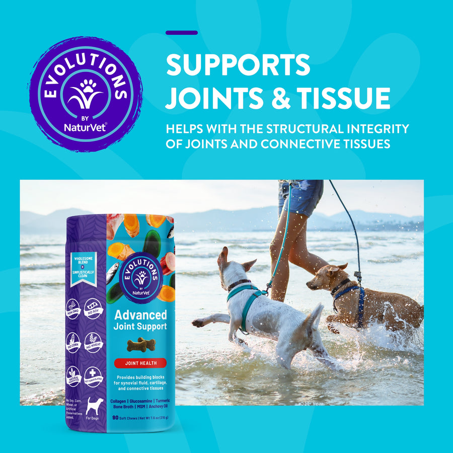 NaturVet Evolutions Advanced Joint Support Soft Chews for Dogs