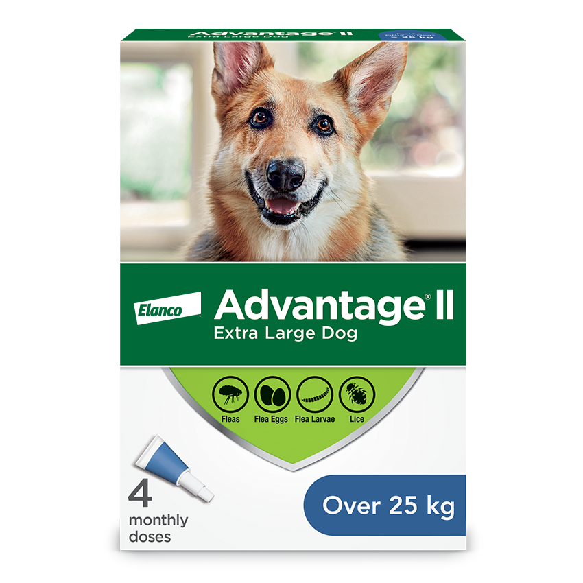 Front box of Advantage II Extra Large Dog