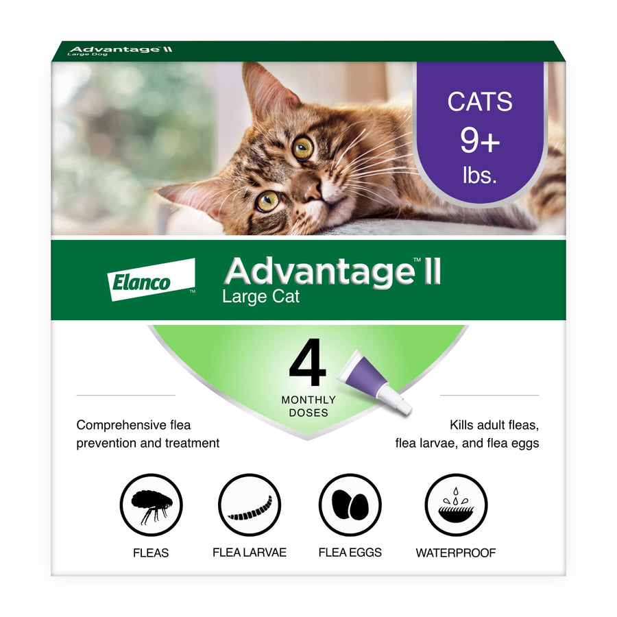 Advantage II Flea Spot Treatment for Large Cats, 9lbs+ for Large Cat, kills fleas, eggs, and larvae. Includes 4 monthly doses and is waterproof
