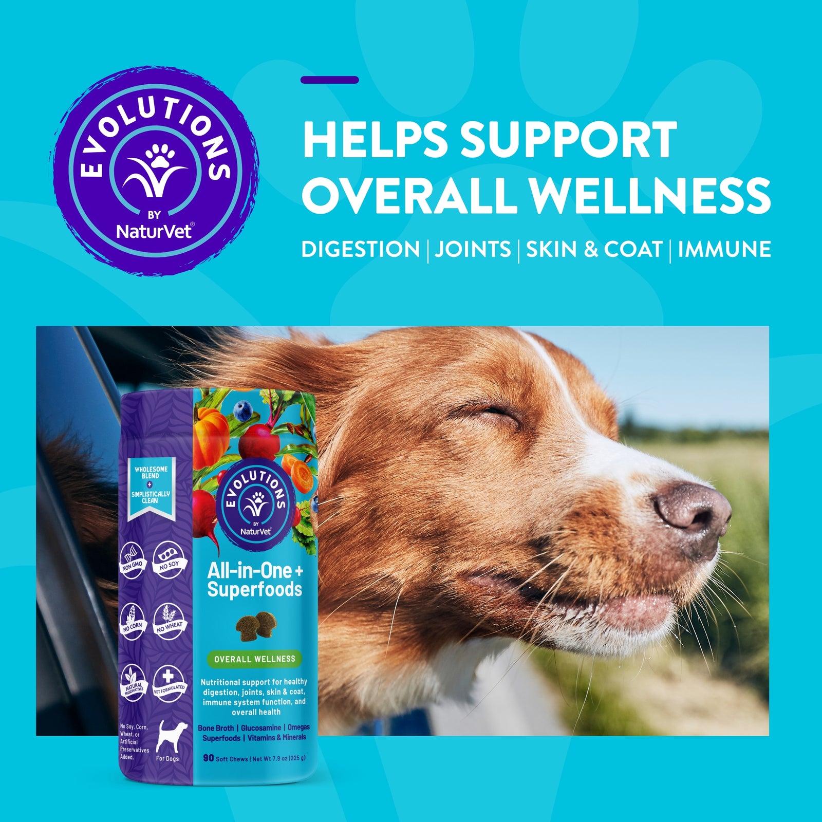 NaturVet Evolutions All-in-One + Superfoods Wellness Soft Chews for Dogs