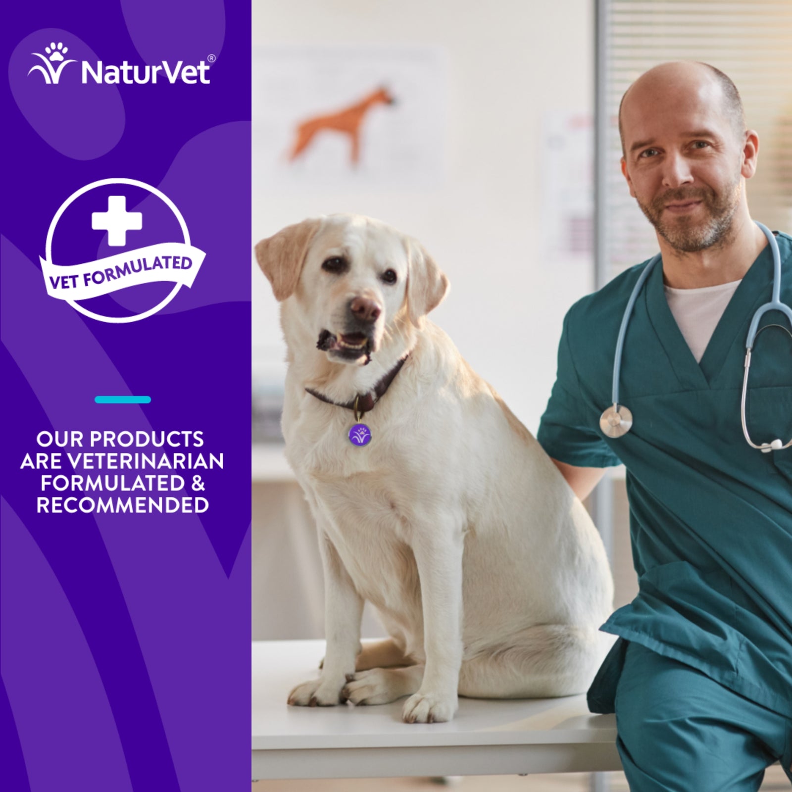 NaturVet Evolutions All-in-One + Superfoods Wellness Soft Chews for Dogs