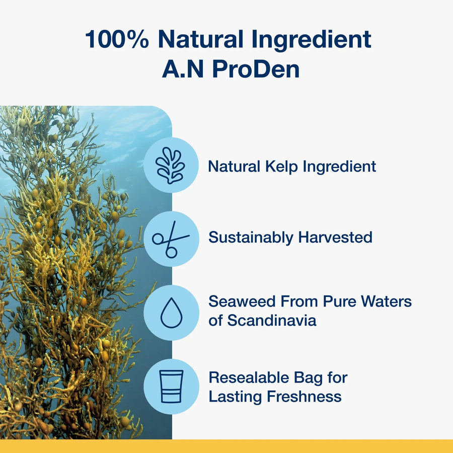 100% Natural Ingredient A.N ProDen.
