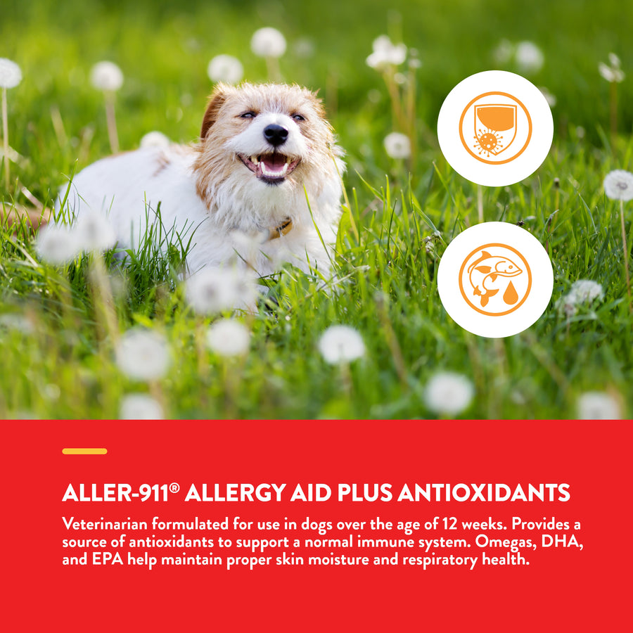 NaturVet Aller-911 Allergy Aid Chews