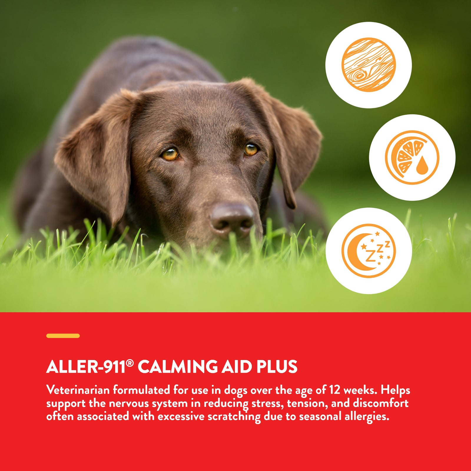NaturVet Aller911 Calming Aid Plus Allergy Aid Chewable Tabs for Dogs