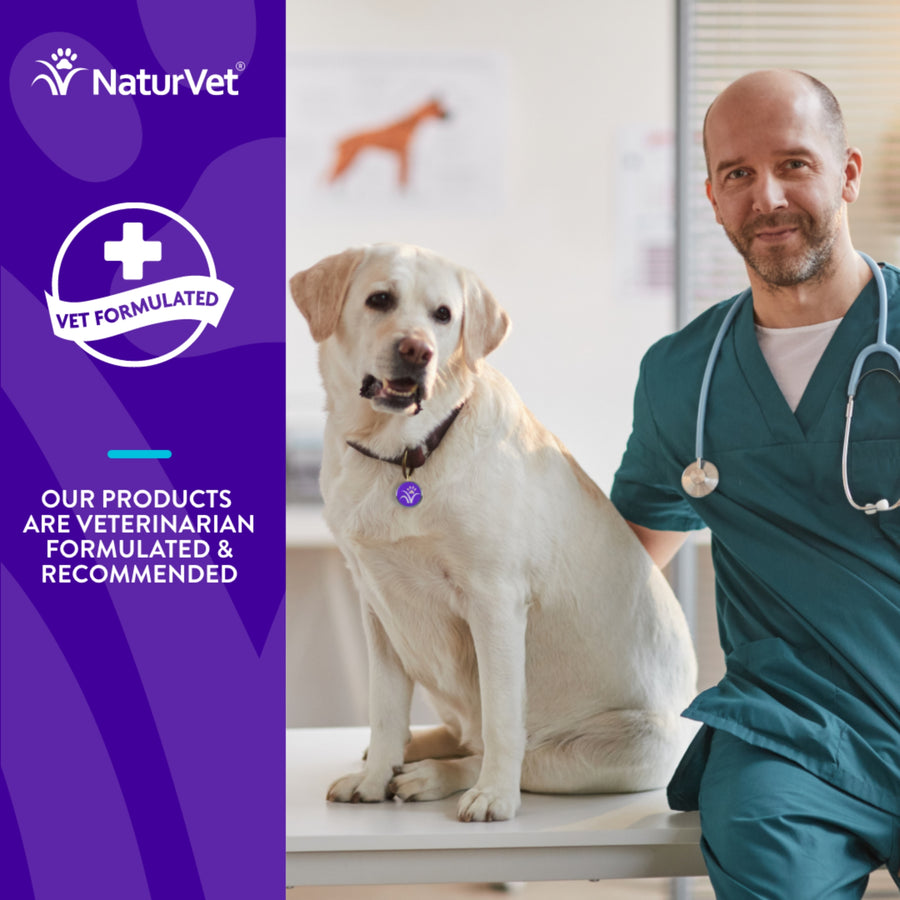 NaturVet Evolutions Anchovy + Allergy & Joint Support Soft Chews for Dogs