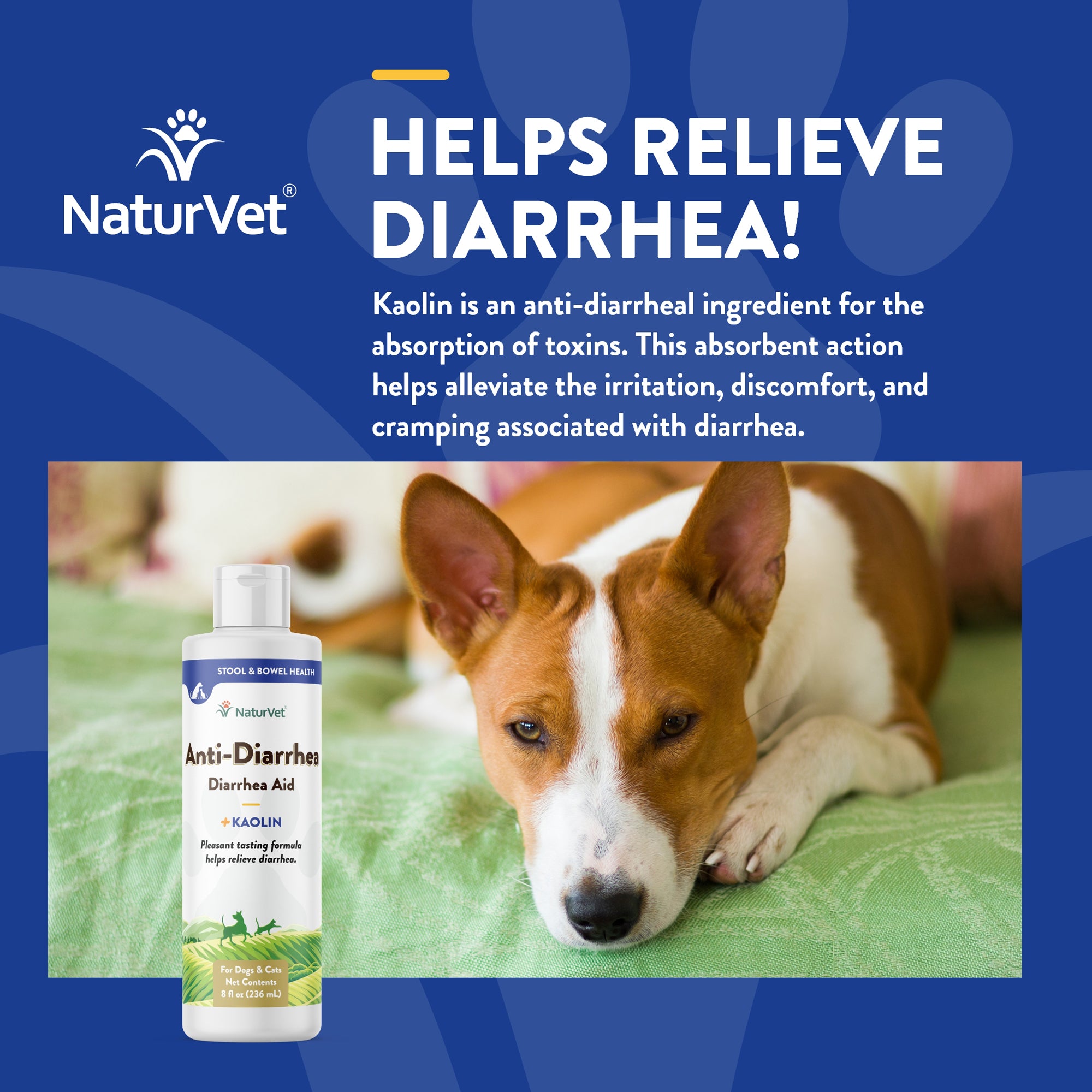 NaturVet Anti Diarrhea Aid Plus Kaolin 8oz