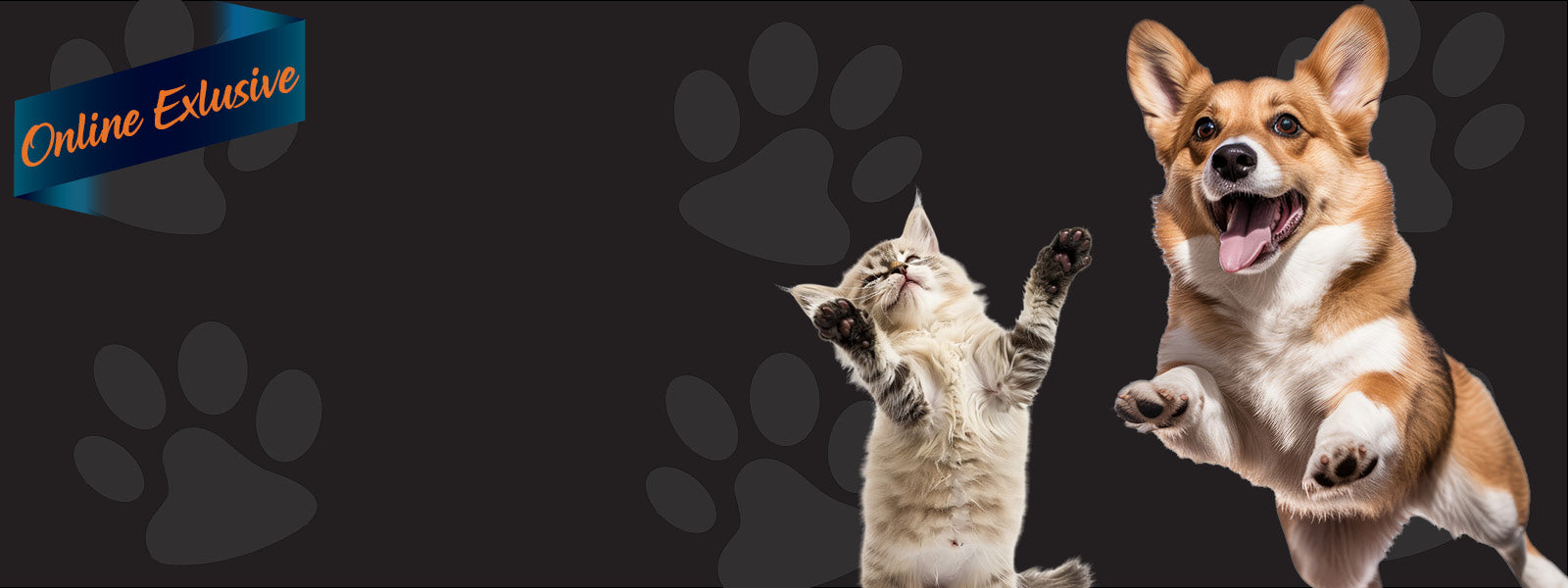 Black Friday Starts Early