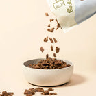 Badlands Ranch Air-Dried Superfood Complete Chicken Formula Dog Food poured into a bowl