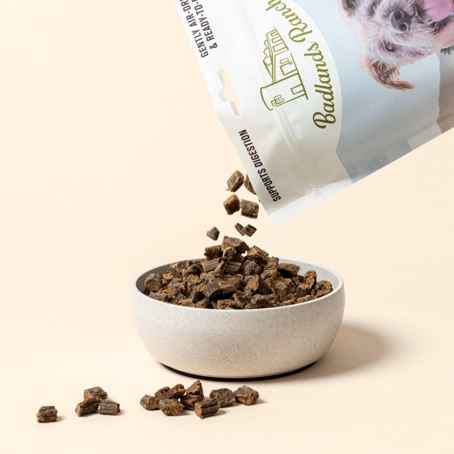 Badlands Ranch Air-Dried Superfood Complete Lamb & Venison Formula Dog Food poured in a bowl