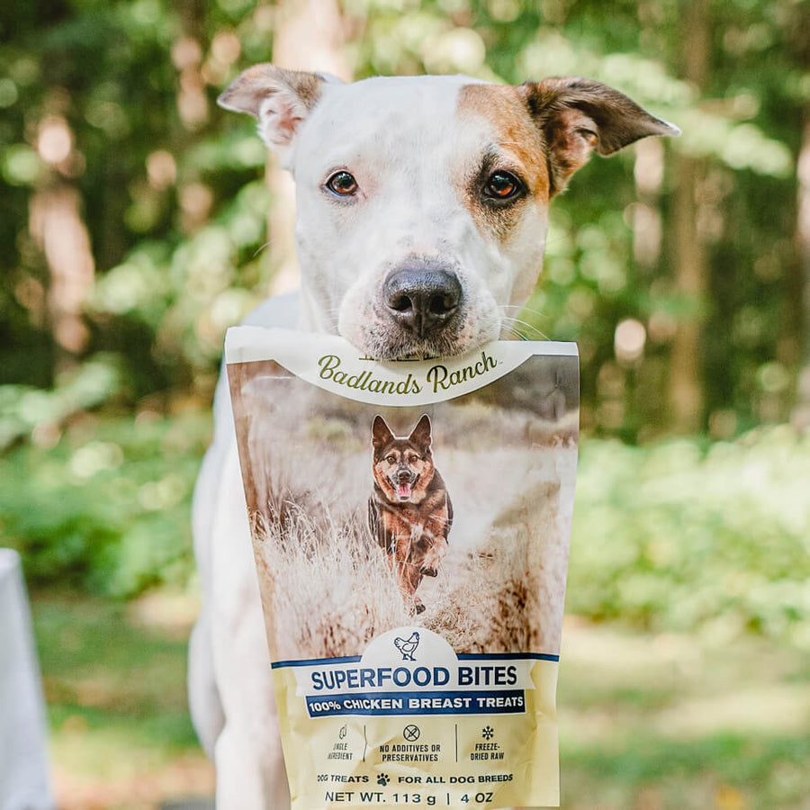 Dog biting a pouch of Badlands Ranch Freeze-Dried Superfood Bites Chicken Breast Dog Treats 4oz