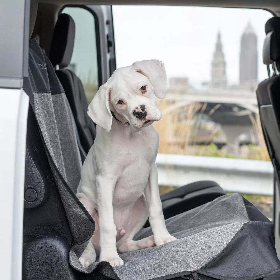 Bergan Auto Bucket Seat Protector on the seat a car, with a white puppy sitting with their head tilled in curiosity.