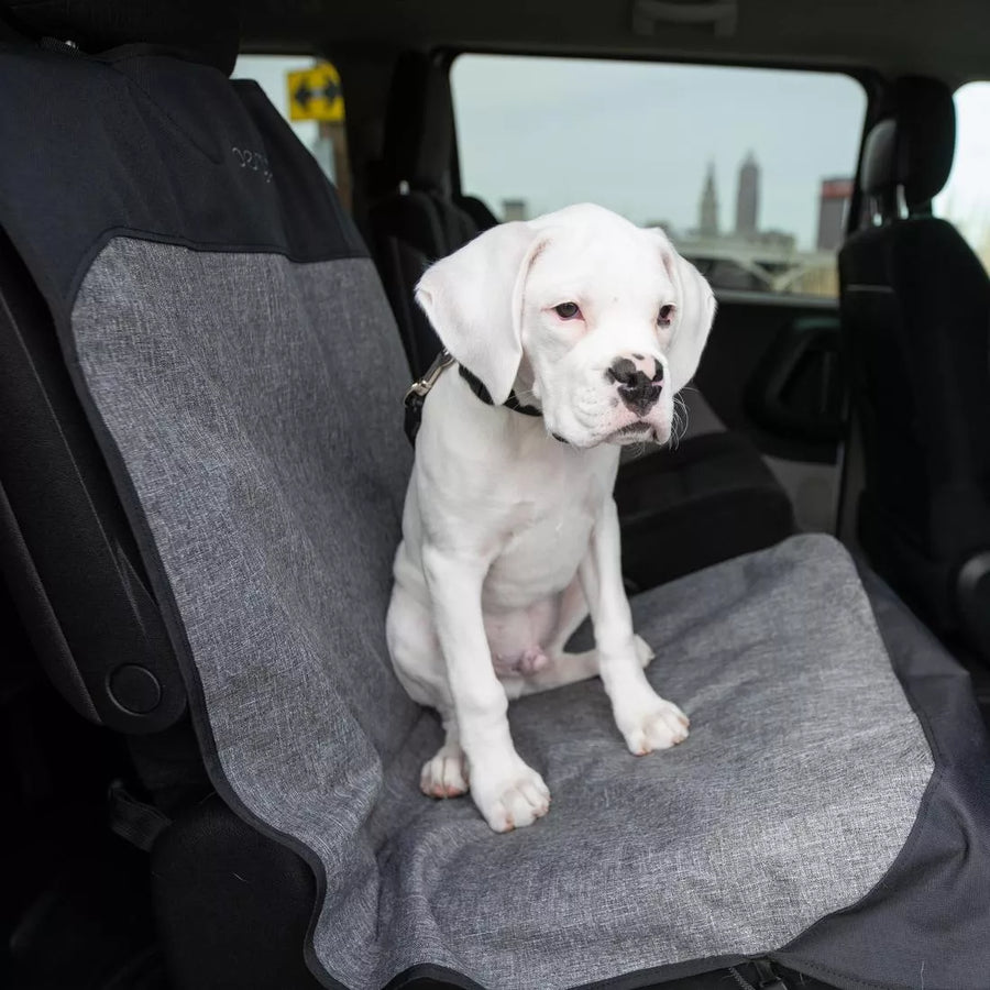 Bergan Auto Bucket Seat Protector on the seat a car, with a white puppy sitting on the seat.