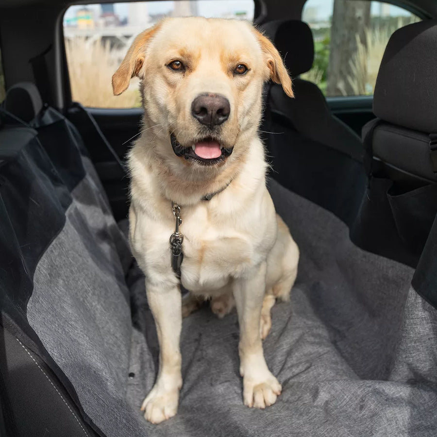 View of backseat of car, Bergan Auto Hammock Seat Protector in use with a cream dog sitting on it, with dirty paws.