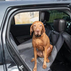 View of backseat of car, Bergan Auto Hammock Seat Protector in use with a brown dog sitting on it.