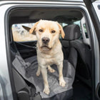 View of backseat of car, Bergan Auto Hammock Seat Protector in use with a cream dog sitting on it.