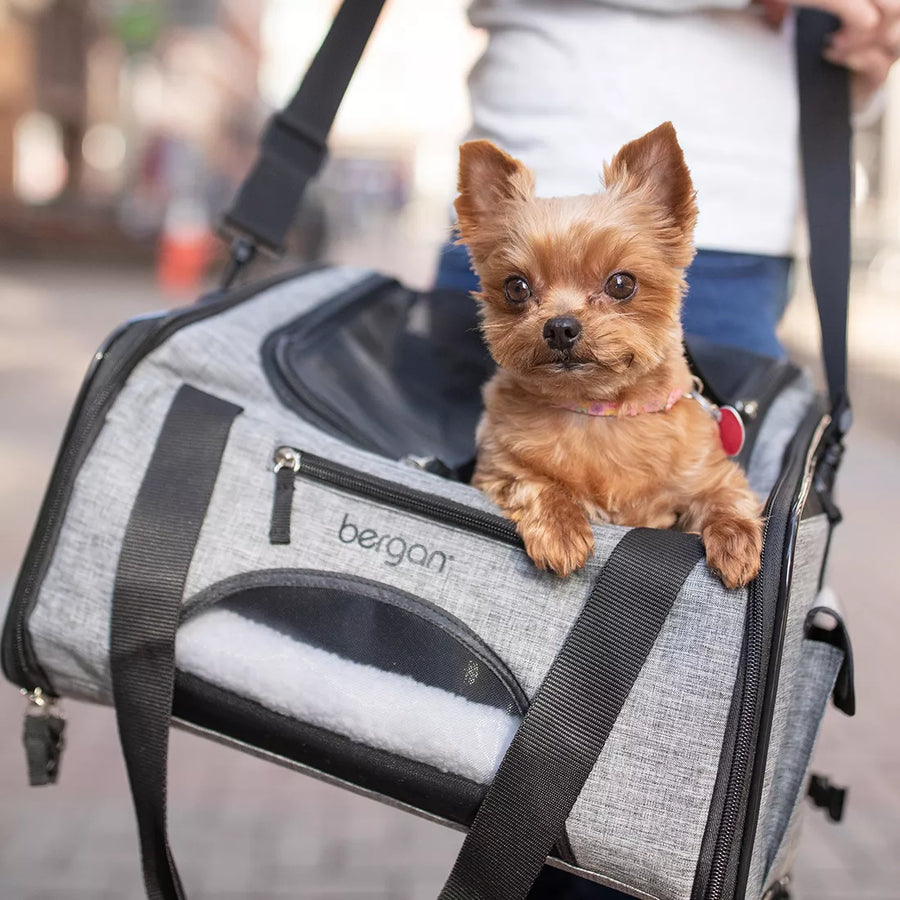 Bergan Booster Soft Pet Carrier with a small dog using the top door.
