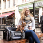 Bergan Booster Soft Pet Carrier sitting on a bench next to a woman. A small dog is sitting inside of the carrier.