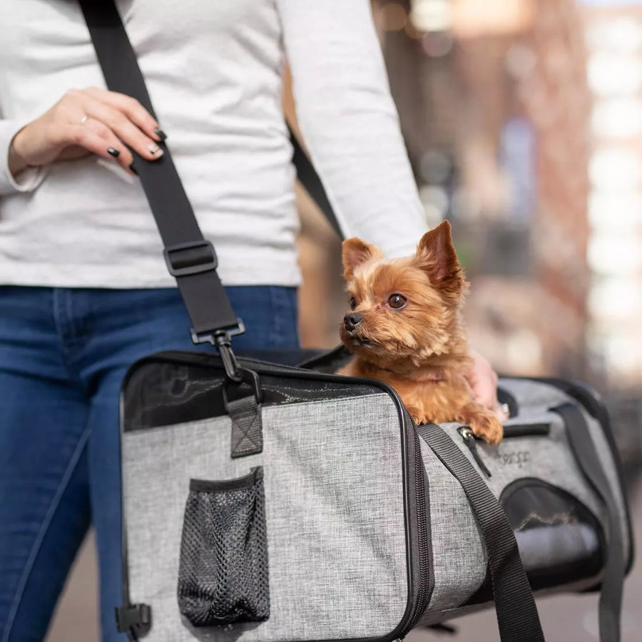 Bergan Booster Soft Pet Carrier, a woman is using the shoulder strap, with a small dog sitting inside the carrier. The dogs head is popped out of the carrier.