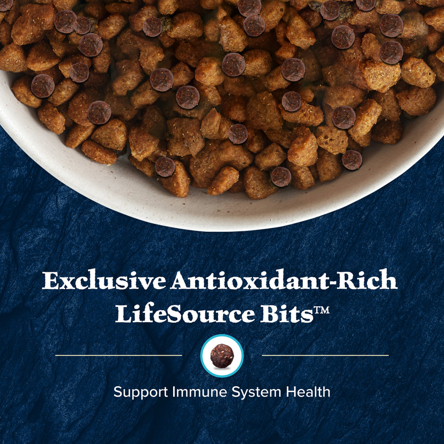 Blue Buffalo Wilderness Chicken High Protein Recipe Senior Dry Dog Food Supports immune system health