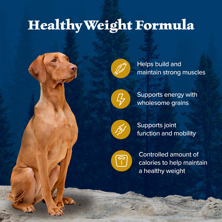 Blue Buffalo Wilderness Healthy Weight Natural Chicken Recipe Adult Dry Dog Food