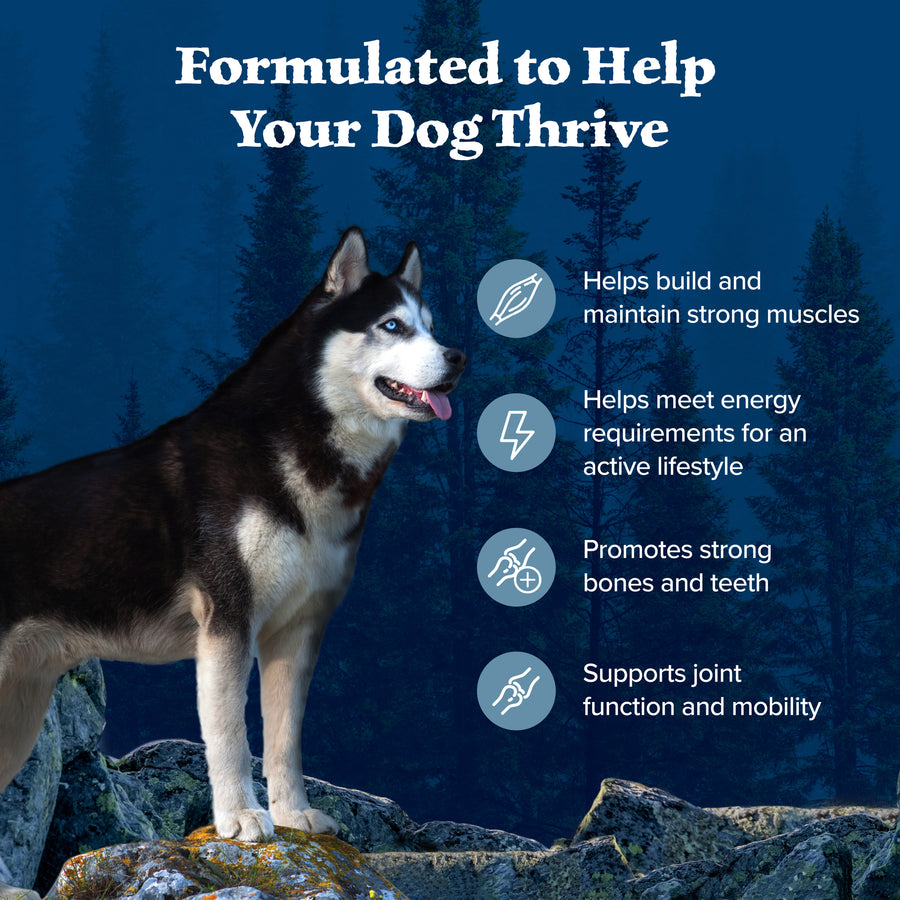 Blue Buffalo Wilderness High Protein Chicken Recipe Adult Dry Dog Food