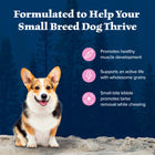 Benefits of Blue Buffalo Wilderness High Protein Chicken Recipe Adult Small Breed Dry Dog Food 