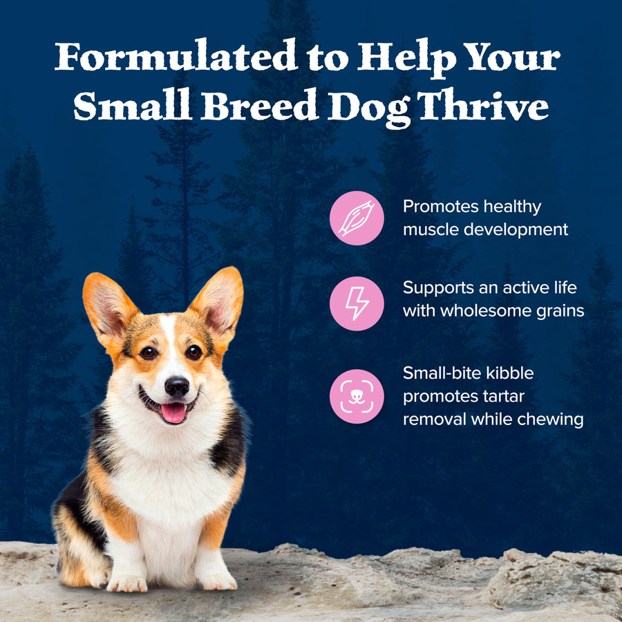 Benefits of Blue Buffalo Wilderness High Protein Chicken Recipe Adult Small Breed Dry Dog Food 