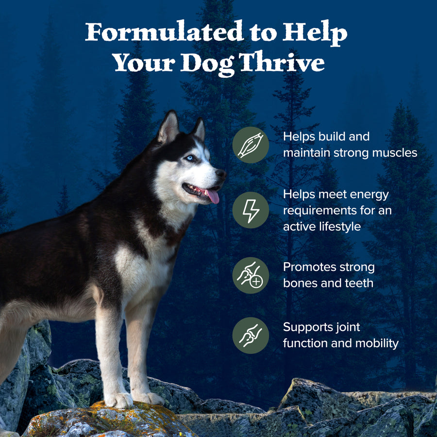 Blue Buffalo Wilderness High Protein Duck Recipe Dry Dog Food