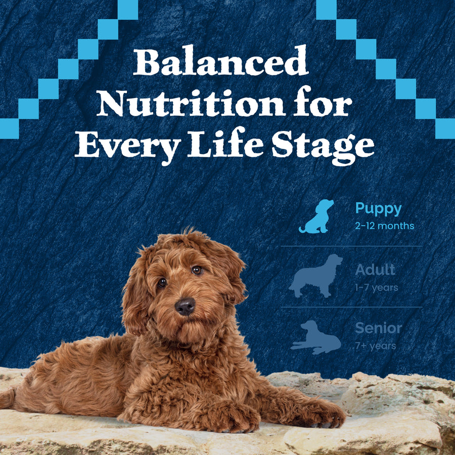 Balanced Nutrition for Blue Buffalo Wilderness Puppy Chicken Dry Food Puppy